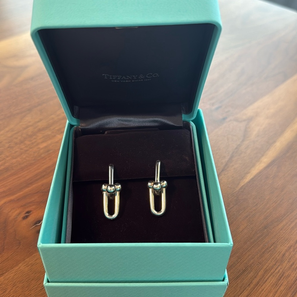 Tiffany Hardware Large Link Earrings
